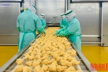 首批越南鸡肉成功出口日本。