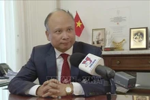 越南国家主席常驻法语常委会和法语国家组织代表丁全胜大使。（图片来源：越通社）