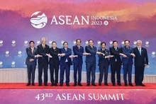 附图：出席第43届东盟峰会的东盟各国领导人合影。