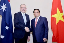 越南政府总理范明正会见澳大利亚总理。