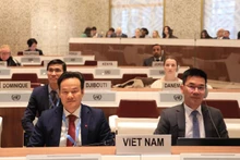 越南常驻联合国代表团团长、特命全权大使梅潘勇出席会议。（图片来源：越通社）