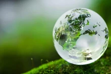 附图。（图片来源：undp.org）