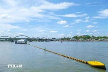 芹苴市试点使用荷兰垃圾陷阱来收集和回收再利用塑料垃圾。（图片来源：越通社）