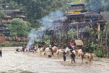 吉吉村，沙巴市的一个受欢迎的旅游景点。