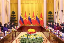 越南副主席武氏映春与委内瑞拉副总统德尔西·罗德里格斯·戈麦斯举行会谈。（图片来源：越通社）