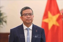 越南外交部副部长范青平。（图片来源：越通社）