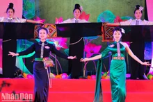 2023年山萝市洋紫荆节热闹开幕【组图】