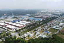 附图。（图片来源：越通社）