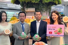 越南柚子正式在韩国乐天超市上架。