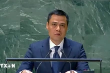 越南常驻联合国代表团团长邓黄江大使。（图片来源：越通社）