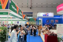 2023年在广西举行的中国—东盟博览会上，越南展区吸引大量观众参加。（杜有兴 摄）