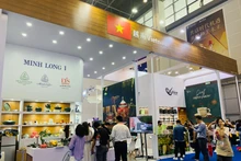 探访中国国际消费品博览会的越南展区