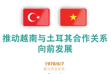推动越南与土耳其合作关系向前发展【图表新闻】