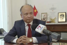 越南驻法国特命全权大使丁全胜。（图片来源：越通社）