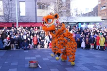 2023年癸卯春节迎春活动期间的节目。（图片来源：越通社）