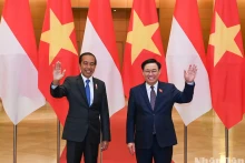 越南国会主席王廷惠和印尼总统佐科·维多多合影留念。