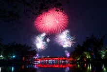 喜迎2025年乙巳蛇年 烟花绽放在还剑湖的夜空。
