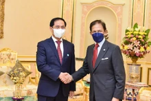 文莱达鲁萨兰国苏丹会见越南外长裴青山 。（图片来源：国际报）