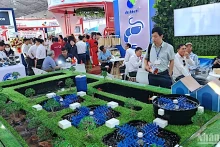 第五届越南国际虾业技术博览会正式开展
