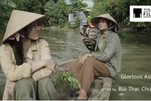 《璀璨的灰烬》（Glorious Ashes）影片。