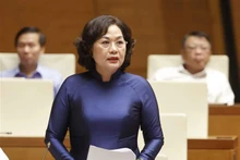越南国家银行行长阮氏红。（图片来源：越通社）