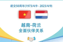 越南-荷兰全面伙伴关系【图表新闻】