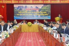 越南外交部常务副部长、国家边境委员会主任阮明武发表讲话。（图片来源：越通社）