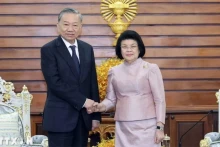 越南国家主席苏林会见柬埔寨国会主席昆索达莉。（图片来源：越通社）