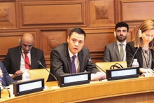 越南常驻联合国代表团团长邓黄江大发表讲话。（图片来源：越通社）