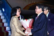 越南国会副主席阮德海在机场迎接昆索达莉女士一行。（图片来源：国会官网）