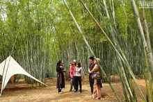 游客参观安世县春良乡沿村。