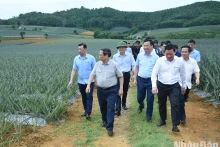 越南政府总理范明正视察宁平省基础设施重点工程【组图】