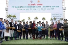 越南自然资源与环境部、世界自然基金会及多家企业向太平省湿地自然保护区赠送了1万颗水柳树。（图片来源：越通社）