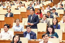 太平省国会代表阮文辉发表讲话。