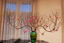 桃花：象征如意与吉祥。