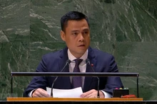 越南常驻联合国代表团团长邓黄江大使。（图片来源：越通社）