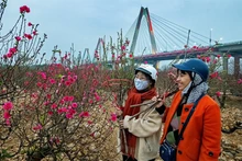 附图。