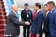 越南政府副总理兼外交部长裴青山到机场迎接柬埔寨国王诺罗敦·西哈莫尼。（图片来源：越通社）
