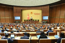 第十五届国会第六次会议：讨论选民意见建议解决情况的监督结果 