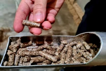 附图。（图片来源：劳动报）