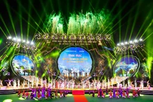 2024年奠边国家旅游年暨洋紫荆花节开幕式。