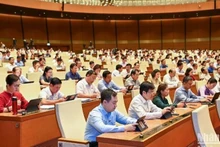 国会代表6月5日出席国会会议。