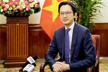 越南外交部副部长杜雄越。