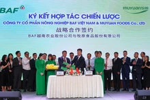 BAF越南与中国牧原领导签署战略合作协议。