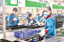 河内地区生产总值（GRDP）贡献率达12.59%。