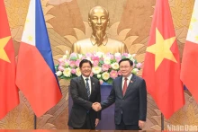 越南国会主席王廷惠会见菲律宾总统马科斯。