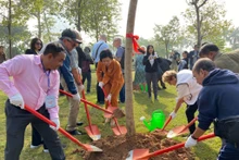 越南和国际代表种下友谊树。（图片来源：越通社）