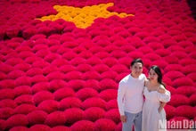 五彩缤纷的广富球制香村：春节期间极具魅力的旅游目的地