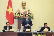 国会主席王廷惠主持召开会议。（图片来源：越通社）
