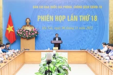 越南政府总理范明正指出会议。（图片来源：VGP）
